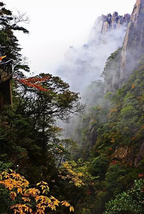 当然，深秋的三清山正在喜获丰收，在饱经了春之蓬勃与夏之繁盛，迎来了硕果累累的丰收季。