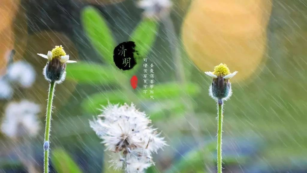 白冰城主丨清明,雨清明