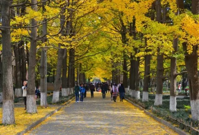 陕西师范大学雁塔校区