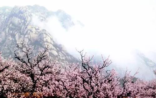 北京凤凰岭景区门票多少钱_北京凤凰岭自然风景区门票_北京凤凰岭门票