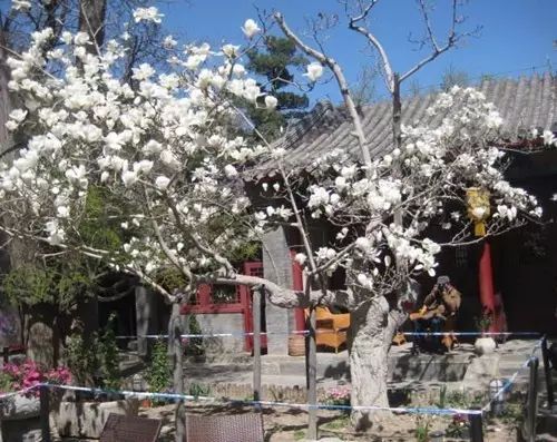 北京凤凰岭自然风景区门票_北京凤凰岭景区门票多少钱_北京凤凰岭门票