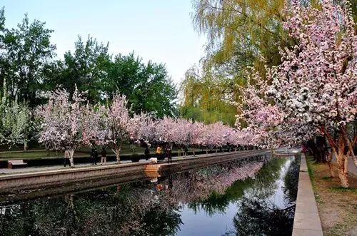 北京凤凰岭自然风景区门票_北京凤凰岭门票_北京凤凰岭景区门票多少钱