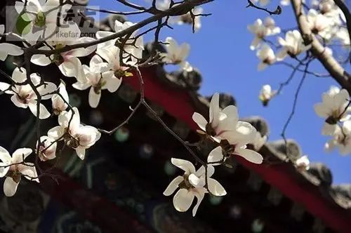 北京凤凰岭门票_北京凤凰岭景区门票多少钱_北京凤凰岭自然风景区门票