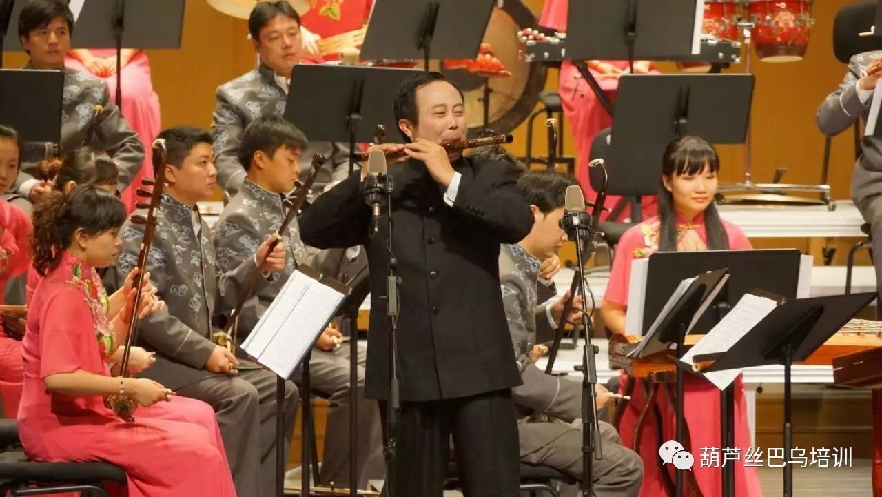 葫芦丝经典名曲《傣乡情歌》视频 作曲演奏:王亚军