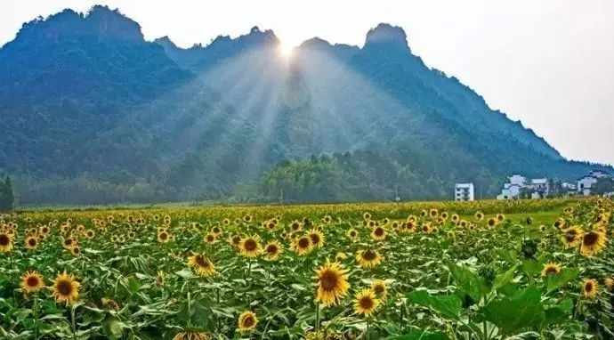 今夕祖国花朵,明朝祖国栋梁