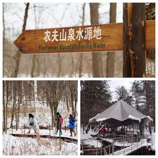 ③ 探秘农夫山泉水源地 |品尝长白山泉水的甘甜