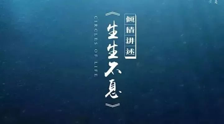 张静初配音,众多明星强力推荐的震撼短片《生生不息》