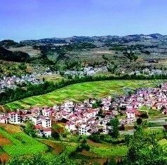 钟山区周家寨社区李建义:“巴掌大”的地方,修了通往小康的幸福路