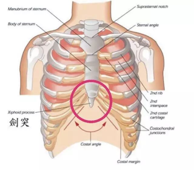 "肚皮"上做胸腔手术 淮安市一院开展经剑突下胸腺扩大