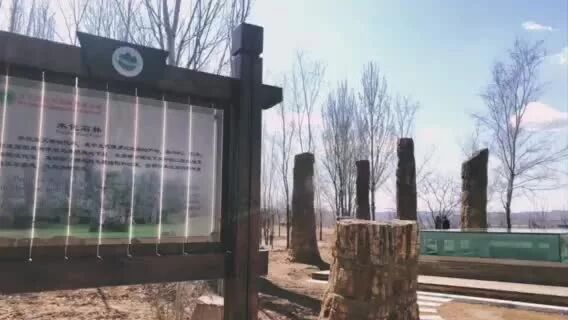 叫上你的好朋友，和小伙伴们度过一次美好的古生物探秘之旅吧！⭐恐龙迷，集合！启程辽西古生物研学探秘之旅，在丰富的活动中了解恐龙-2