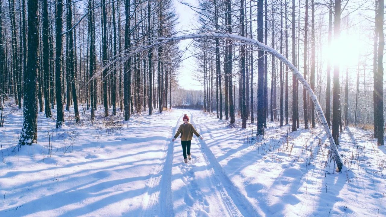 看雪去| 冬日大兴安岭 一车两人私享一个白色童话世界