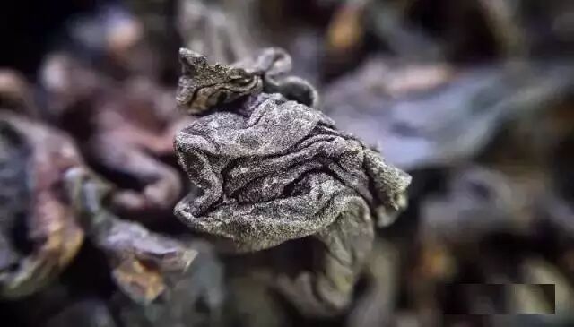 珍藏10年以上的陈年铁观音，不仅滋味丰富，还有很高的药用价值