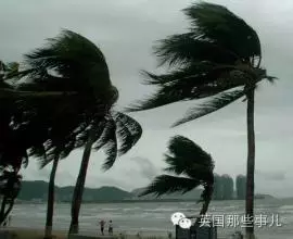 u=3695052560,1708852203&fm=21&gp=0.jpg