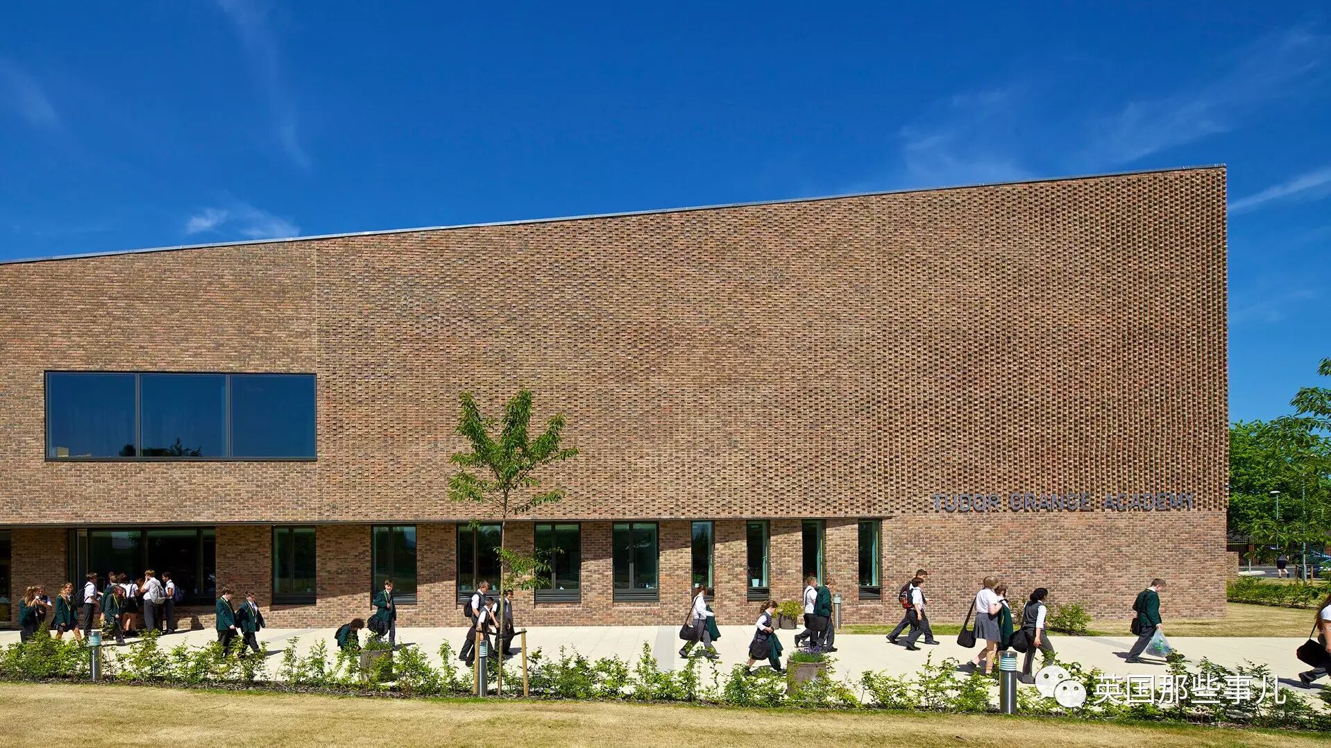 前途无量的14岁天才少年 最终死在校园欺凌的手里