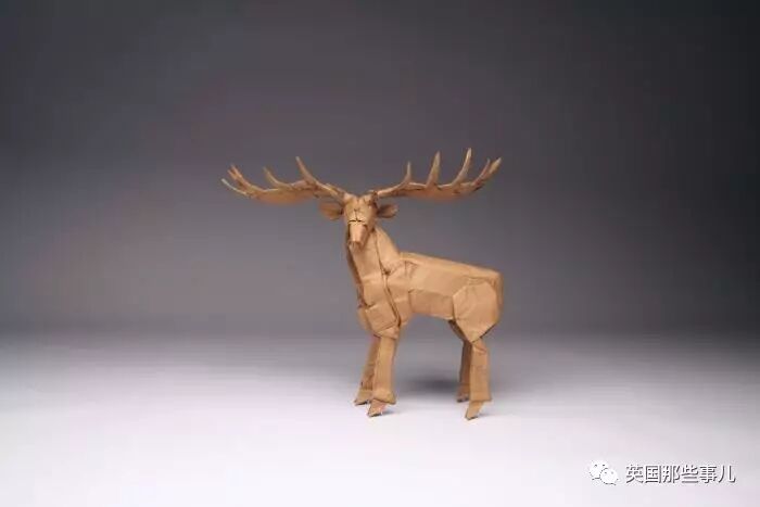 放弃NASA工作跑去玩折纸，这理工大神我服了！