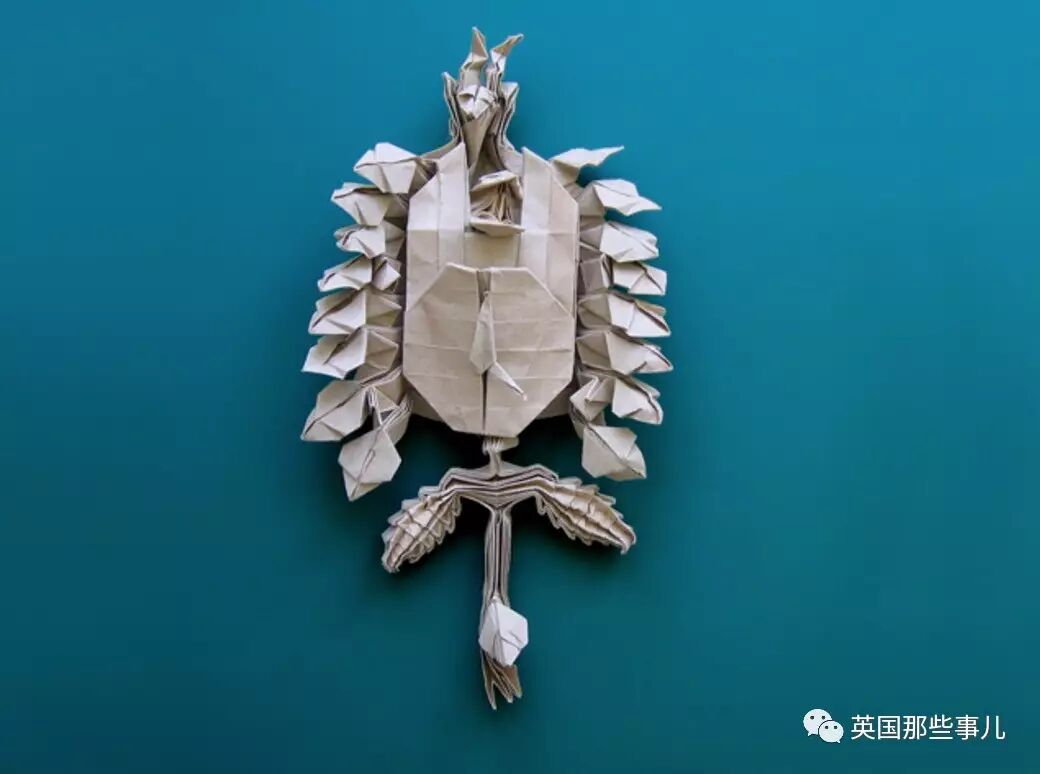 放弃NASA工作跑去玩折纸，这理工大神我服了！