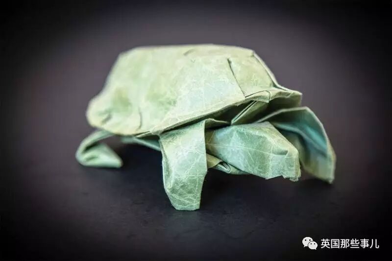 放弃NASA工作跑去玩折纸，这理工大神我服了！