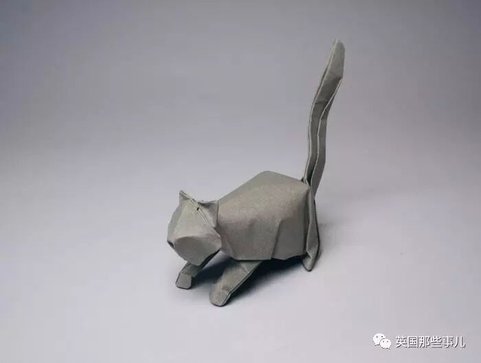 放弃NASA工作跑去玩折纸，这理工大神我服了！