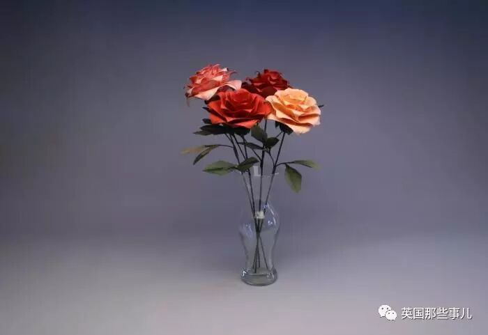 放弃NASA工作跑去玩折纸，这理工大神我服了！