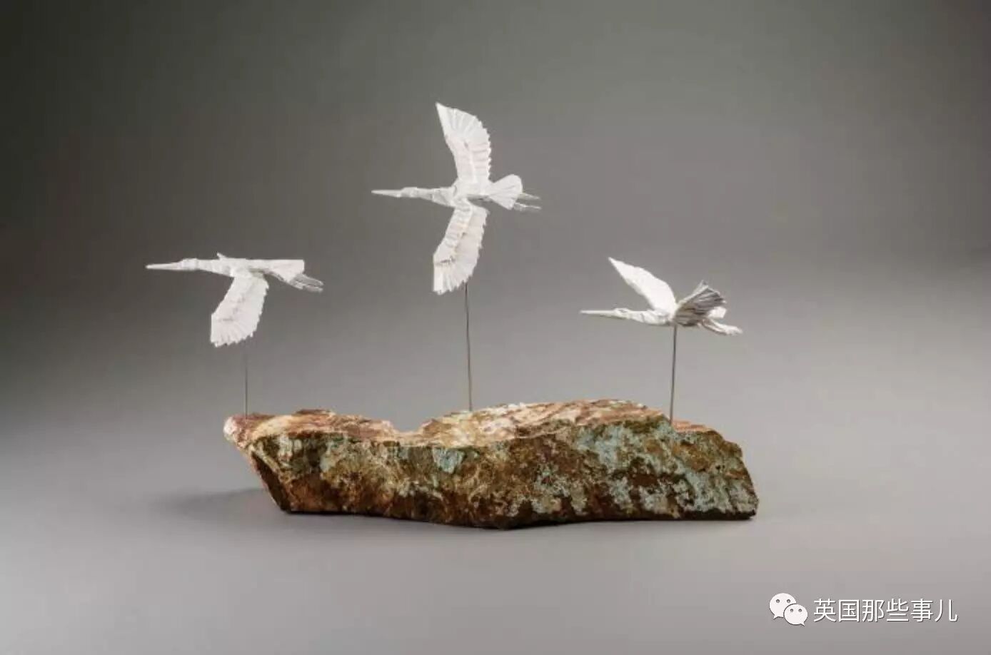 放弃NASA工作跑去玩折纸，这理工大神我服了！