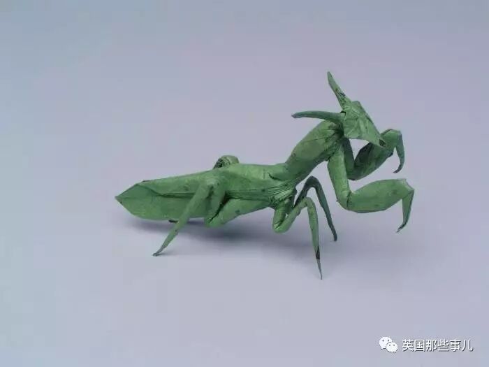 放弃NASA工作跑去玩折纸，这理工大神我服了！