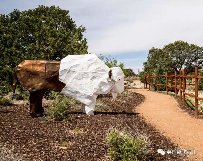 放弃NASA工作跑去玩折纸，这理工大神我服了！