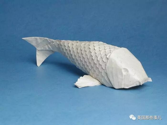 放弃NASA工作跑去玩折纸，这理工大神我服了！