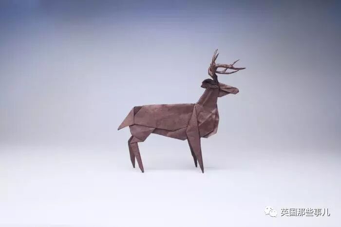 放弃NASA工作跑去玩折纸，这理工大神我服了！