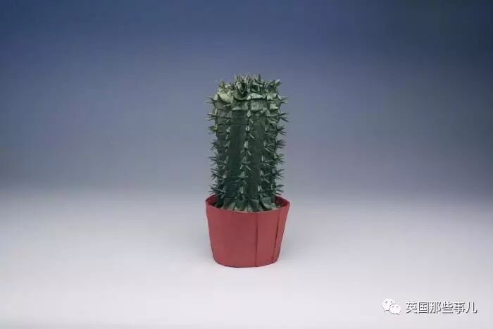 放弃NASA工作跑去玩折纸，这理工大神我服了！