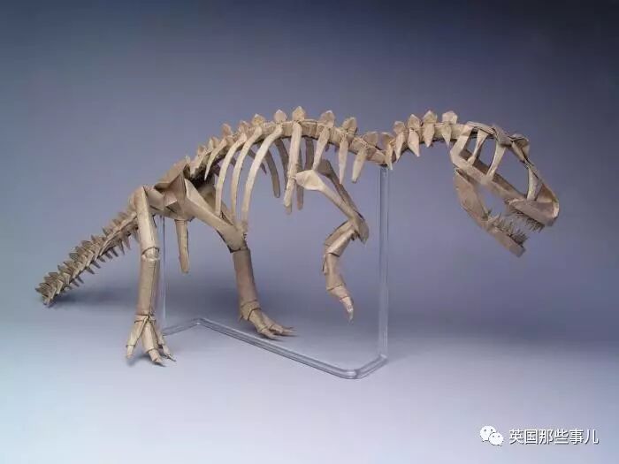 放弃NASA工作跑去玩折纸，这理工大神我服了！