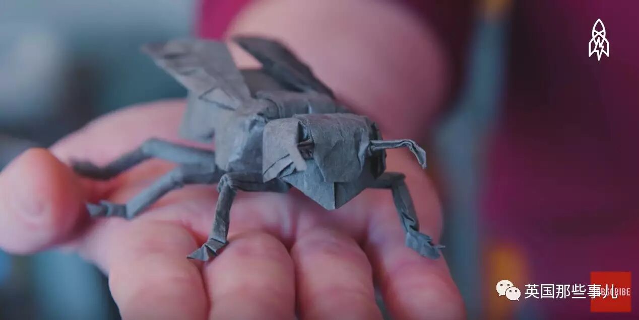 放弃NASA工作跑去玩折纸，这理工大神我服了！