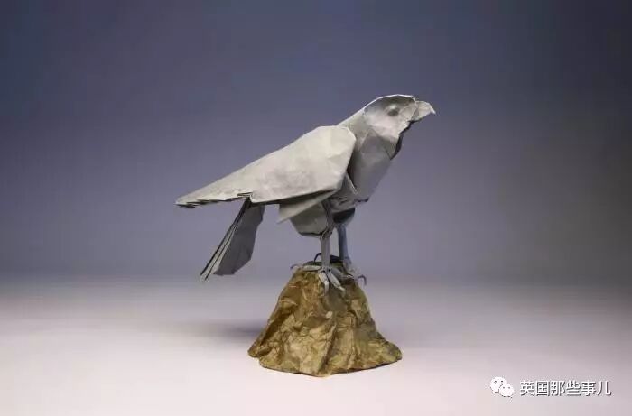 放弃NASA工作跑去玩折纸，这理工大神我服了！