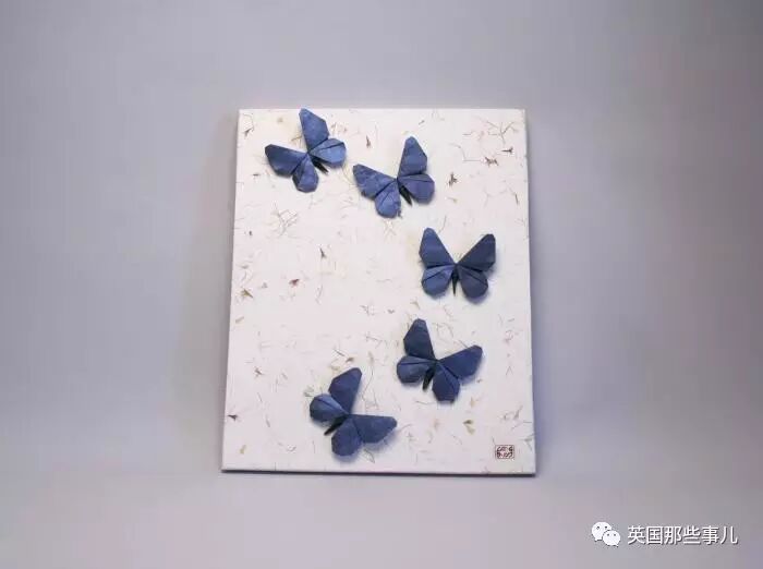 放弃NASA工作跑去玩折纸，这理工大神我服了！