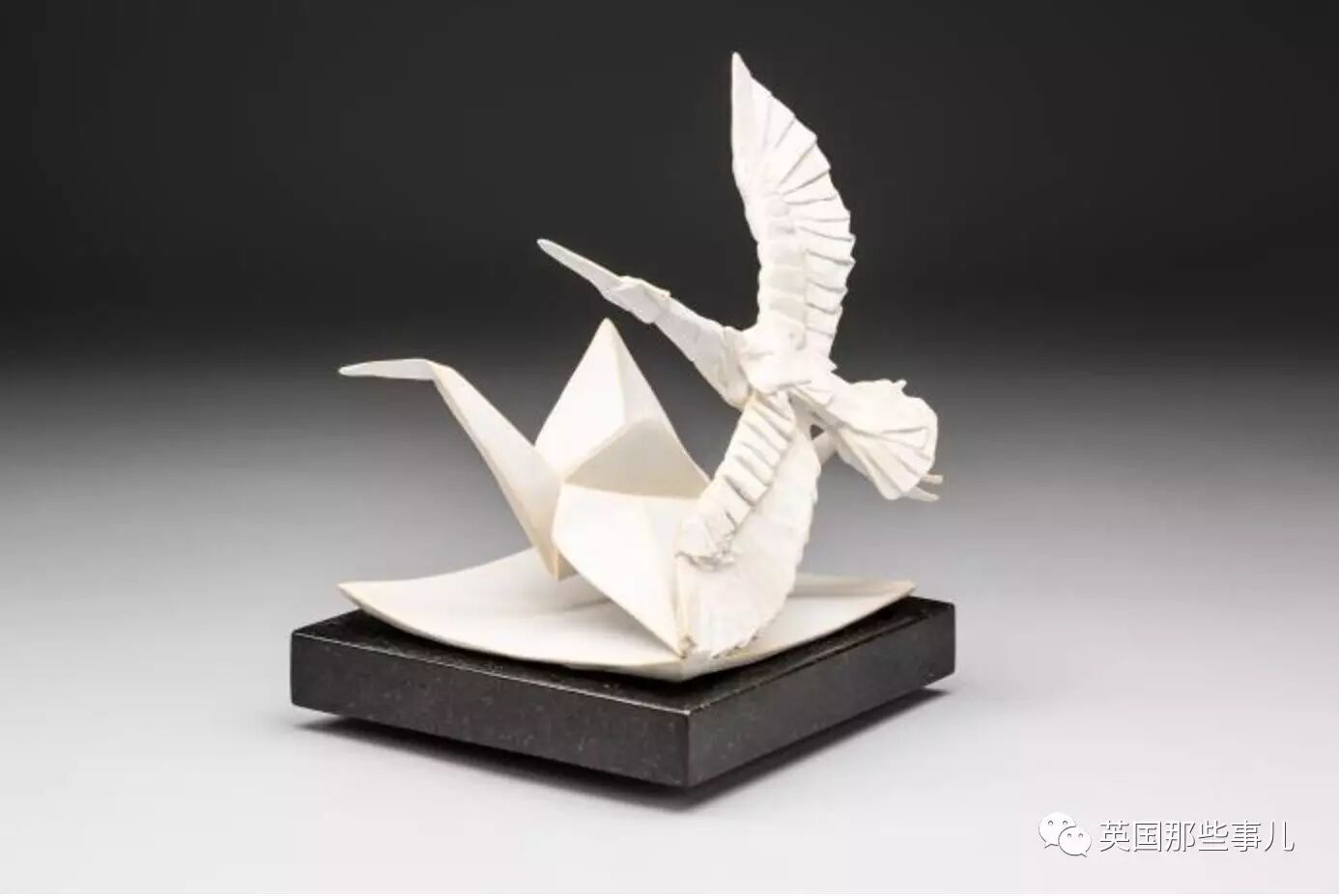 放弃NASA工作跑去玩折纸，这理工大神我服了！