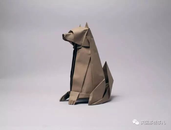放弃NASA工作跑去玩折纸，这理工大神我服了！