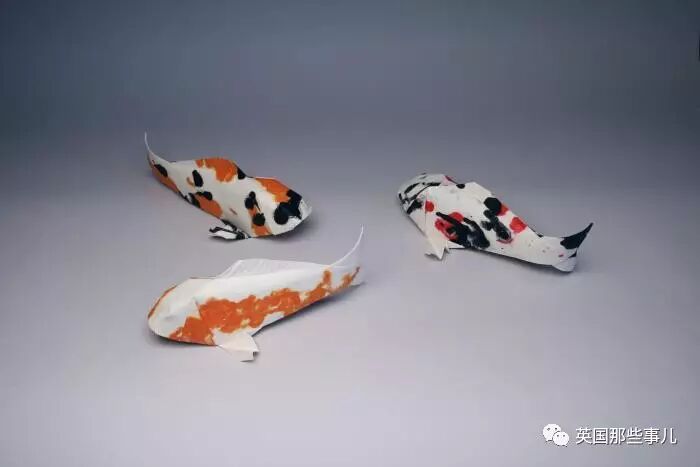 放弃NASA工作跑去玩折纸，这理工大神我服了！