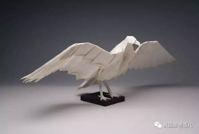 放弃NASA工作跑去玩折纸，这理工大神我服了！