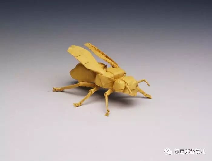 放弃NASA工作跑去玩折纸，这理工大神我服了！