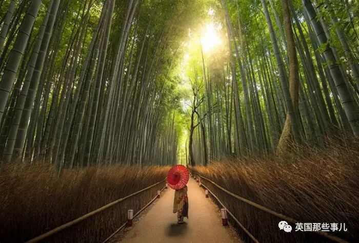 14岁黑银行30岁赚5.8亿美金 如今别人创业 他退休