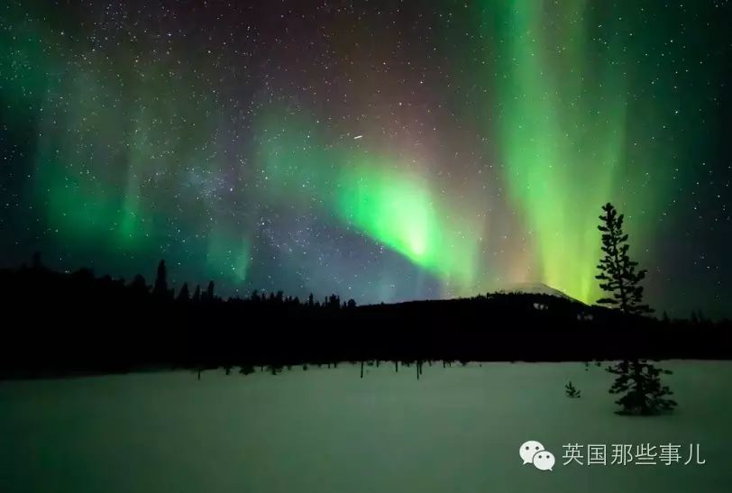 驻扎在天寒地冻的阿拉斯加 只为捕捉天边最美极光