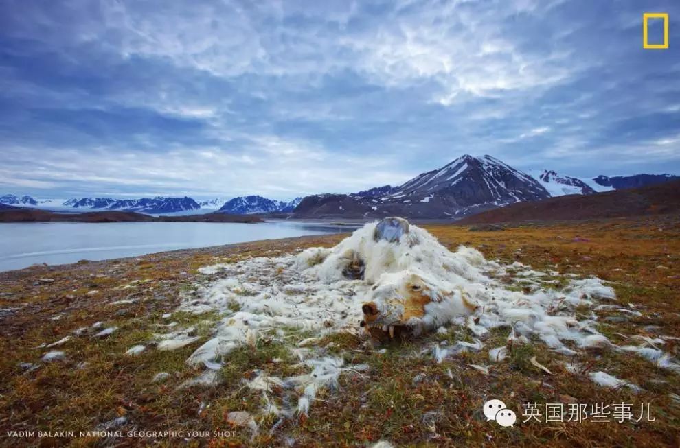 摄影师用1张照片表现全球气候变化 无奈又难过...