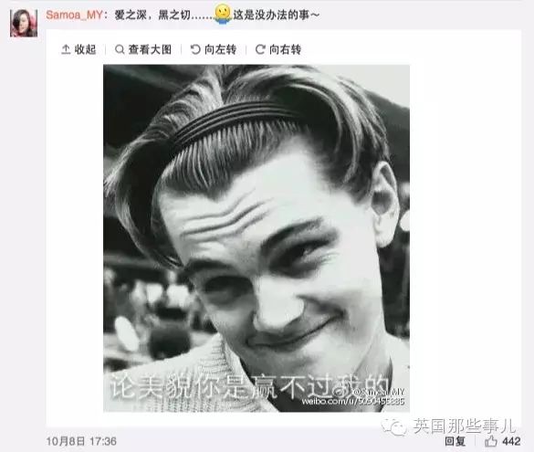 小李子开了个微博...瞬间就被表情包刷屏了(组图)