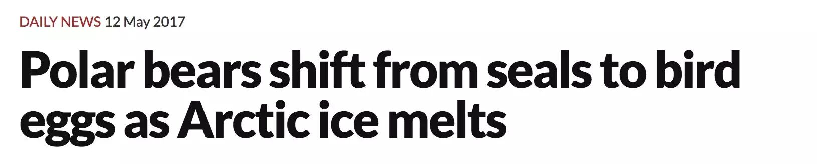 当南极变绿洲北极没有熊 这不该是人类留给后代的