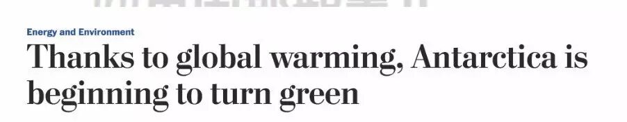 当南极变绿洲北极没有熊 这不该是人类留给后代的