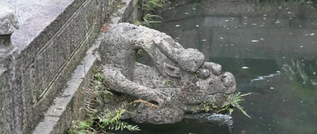 目测要火！惠山“寻龙诀”！