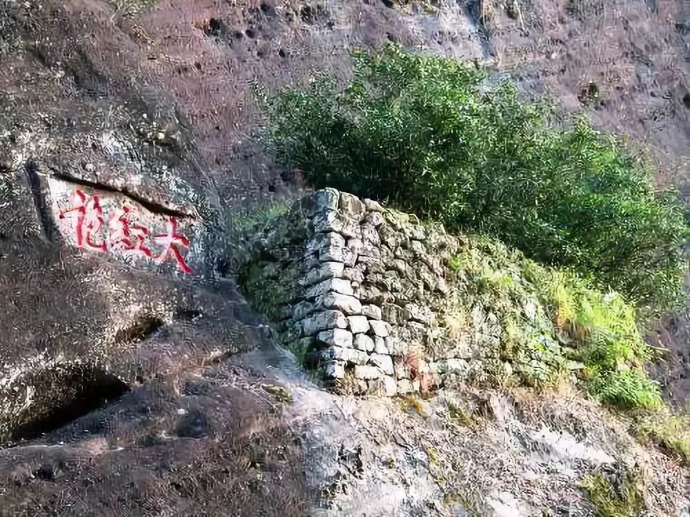 而大红袍的四株始祖茶树就生长于武夷山东北部,天心岩下永乐禅寺之西