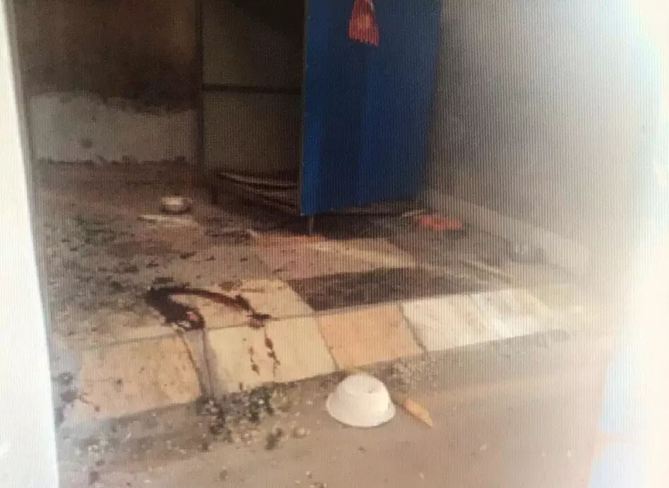 女子散步回家发现屋里全是血:狗尸体被吊电风扇上