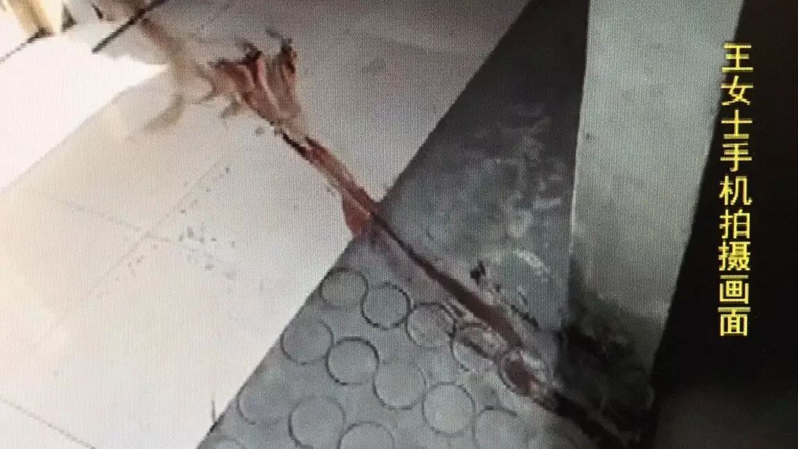 女子散步回家发现屋里全是血:狗尸体被吊电风扇上