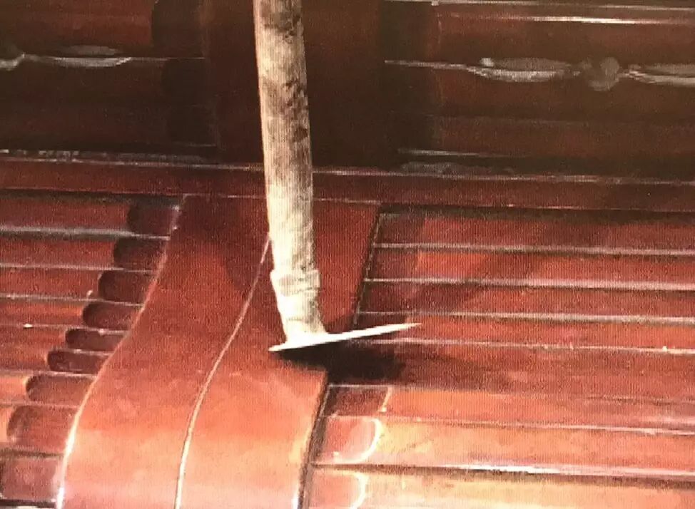 女子散步回家发现屋里全是血:狗尸体被吊电风扇上