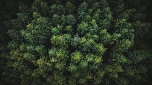 免费 俯視圖, 和平的, 大地色调 的 免费素材图片 素材图片